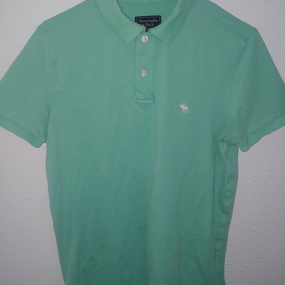 Abercrombie & Fitch Men's Mint Polo Shirt